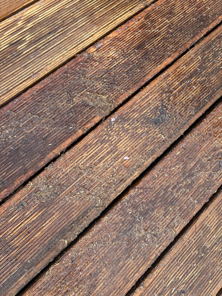 IMG_6846